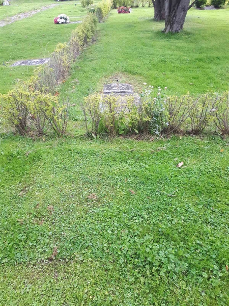 Hautatunnus: NK F G    68