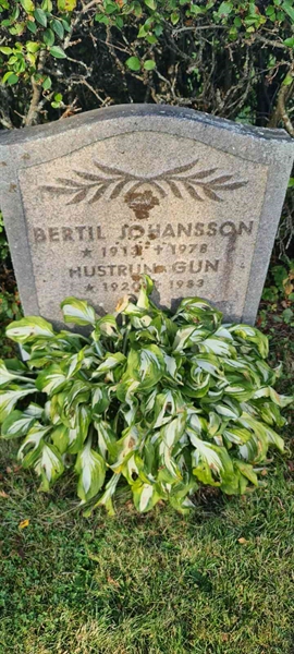 Grave number: M 14   83, 84