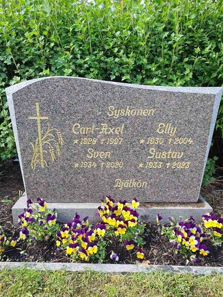 Grave number: SK NÖ    85