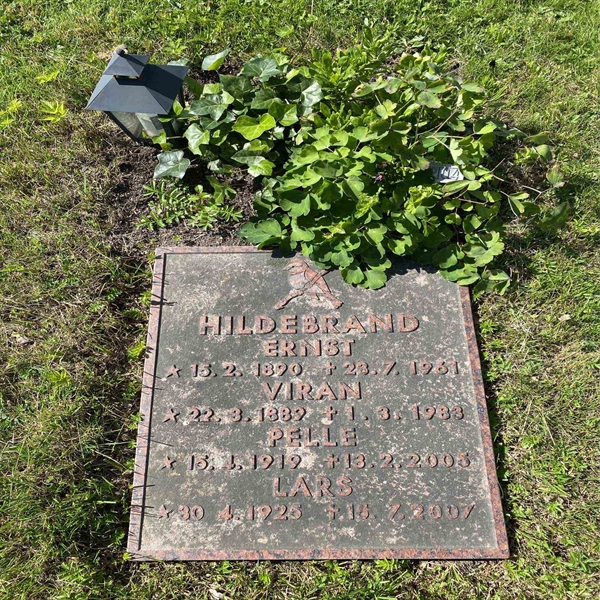 Hautatunnus: 1 NC   204