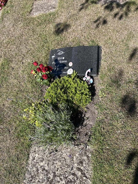 Grave number: NK I:u   403