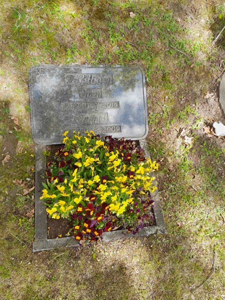 Grave number: 20 R 43