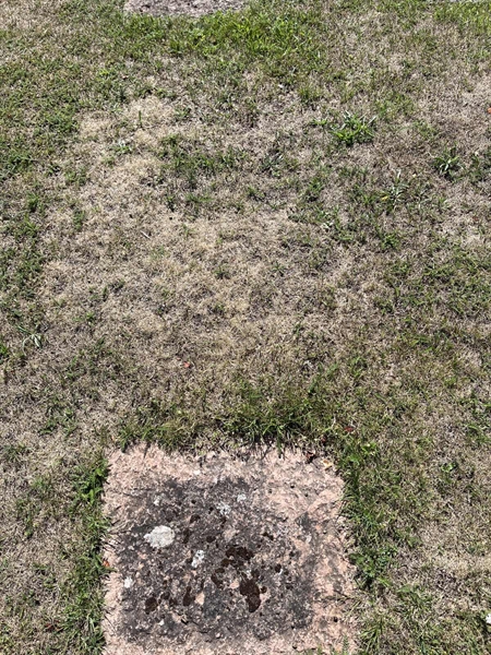 Grave number: NK I:u   171
