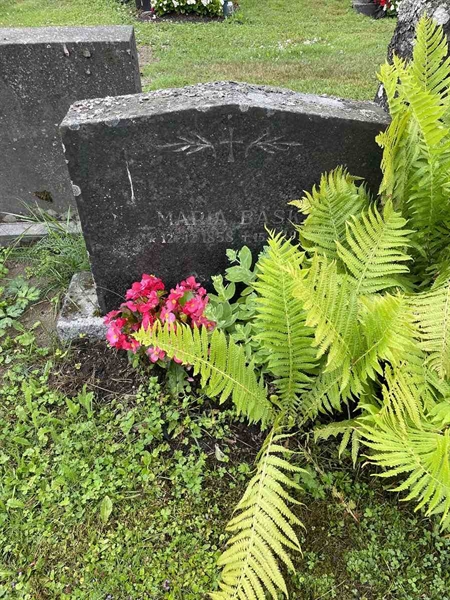 Hautatunnus: N 4 4   552