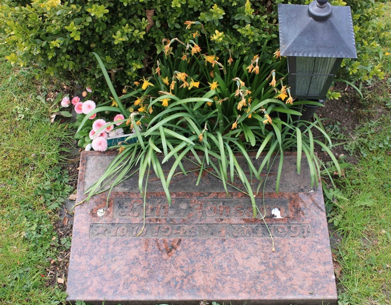 Grave number: Ö 46   401