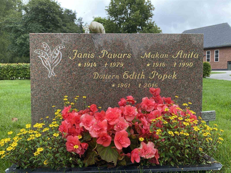 Grave number: 1 19     64, 65, 66