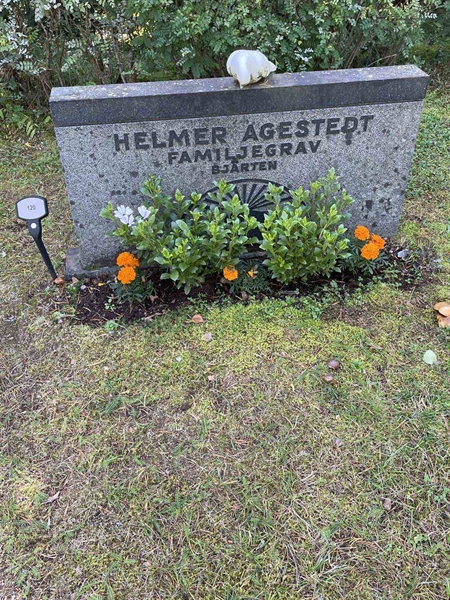 Grave number: 3   120