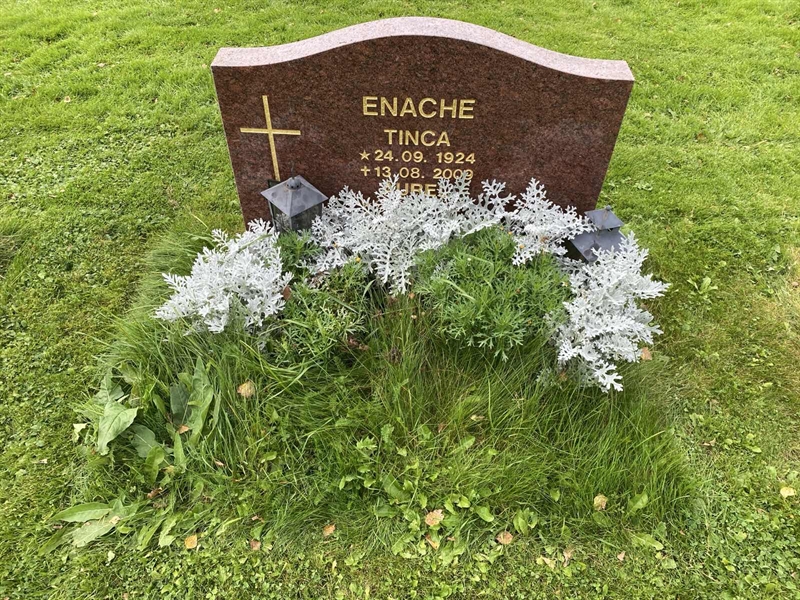 Hautatunnus: 2 C   226-227