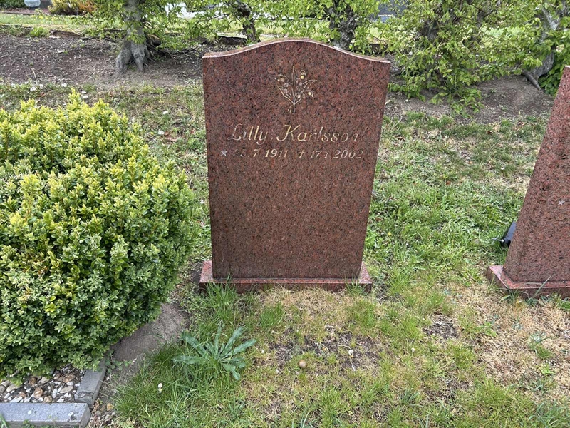 Grave number: L N D    38