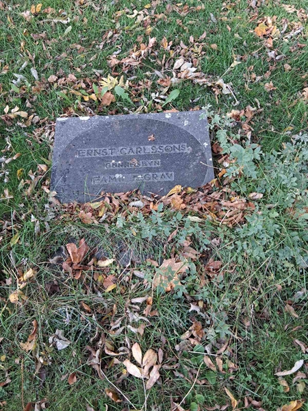 Grave number: SRG 1    68