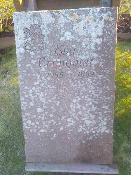 Grave number: H 099 019-20