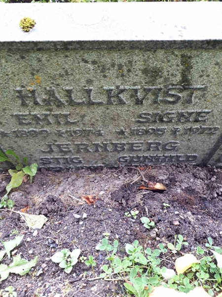 Gravnummer: GK F 1    13