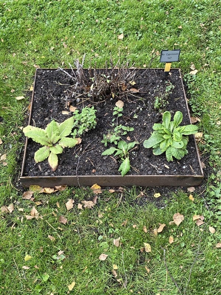 Hautatunnus: 2 C   147