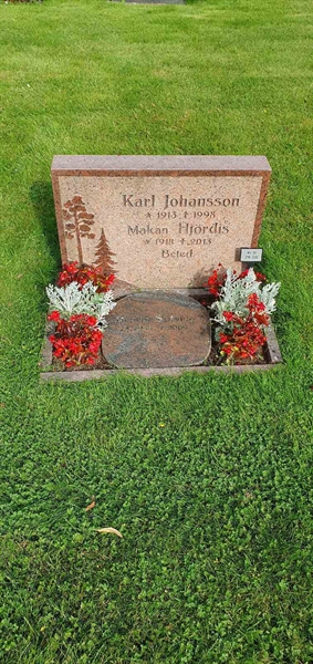 Grave number: Jä 12   219-220