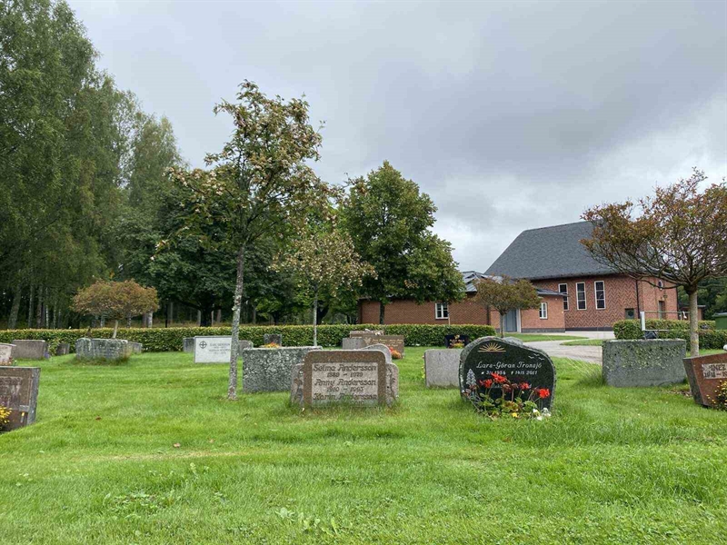 Grave number: 1 19     99