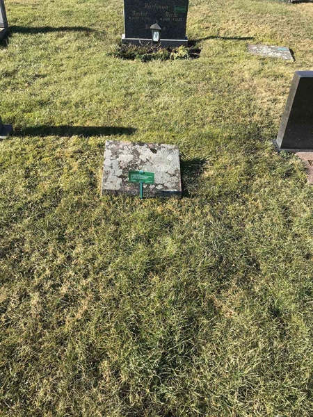 Grave number: KN 04   709