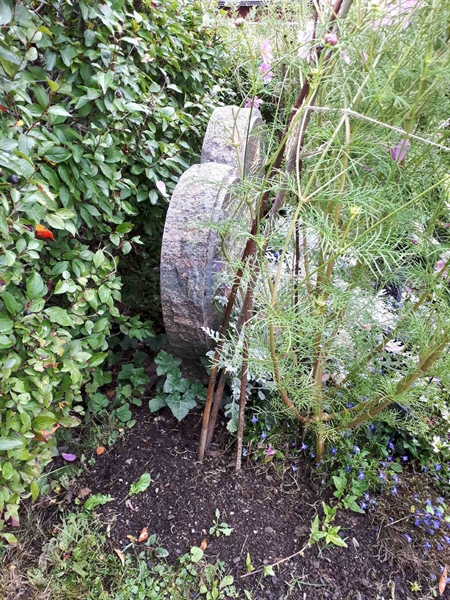 Hautatunnus: NK F D   624