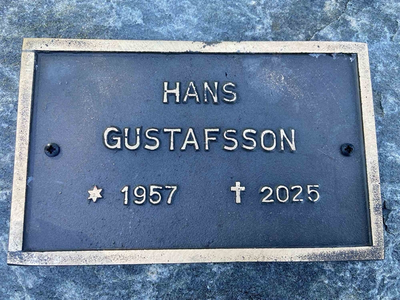 Hautatunnus: 1 33     51
