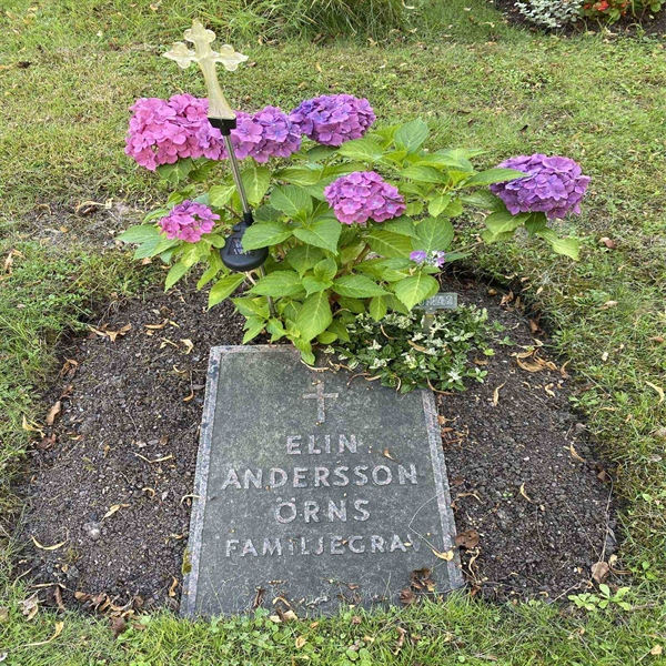 Grave number: 1 RU   142