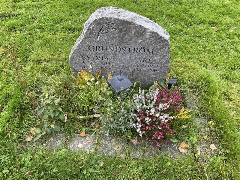 Hautatunnus: 2 C   585-586