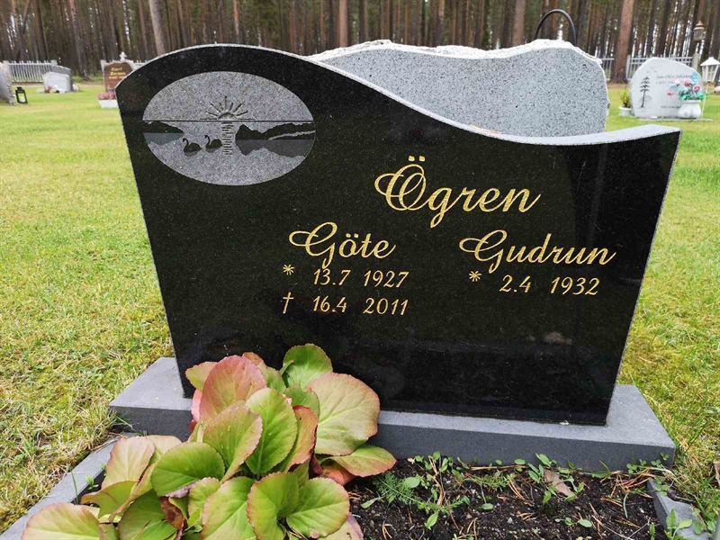 Hautatunnus: VLM 12    49-50