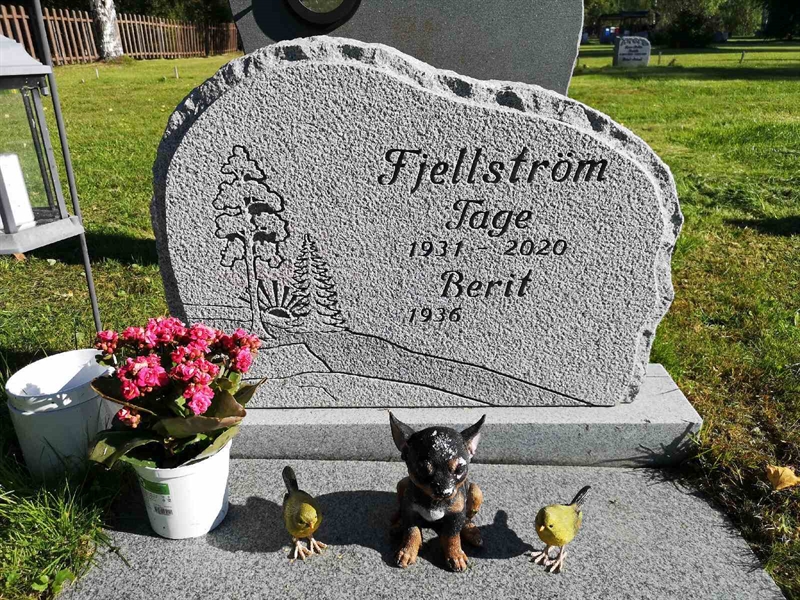 Hautatunnus: NK 22    34-35