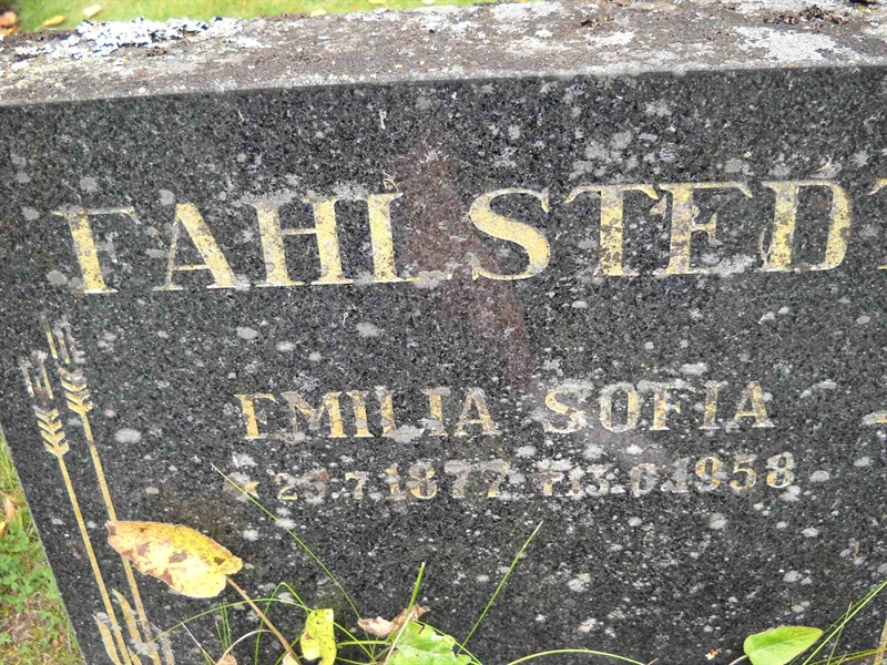 Grave number: 3 MB 16 28