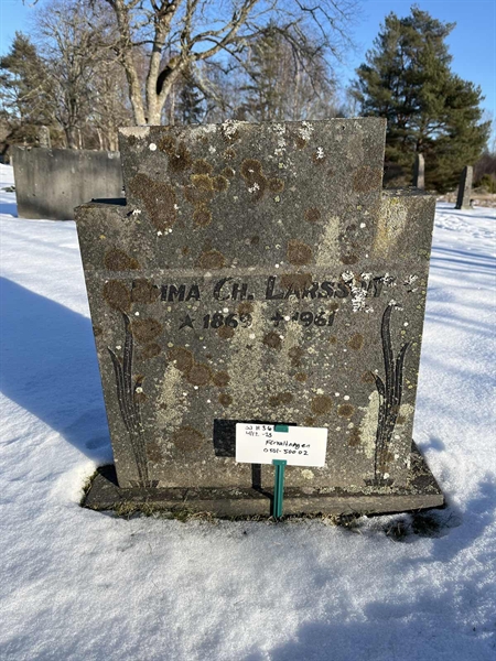 Gravnummer: SJ H    36