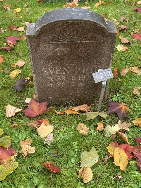 Hautatunnus: 1 H   213