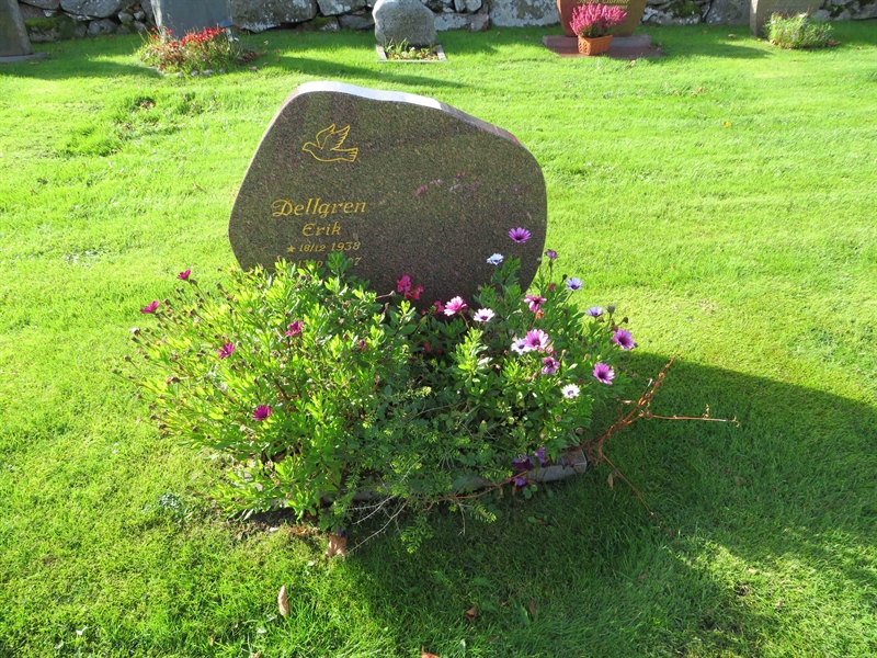 Grave number: 1 10   66
