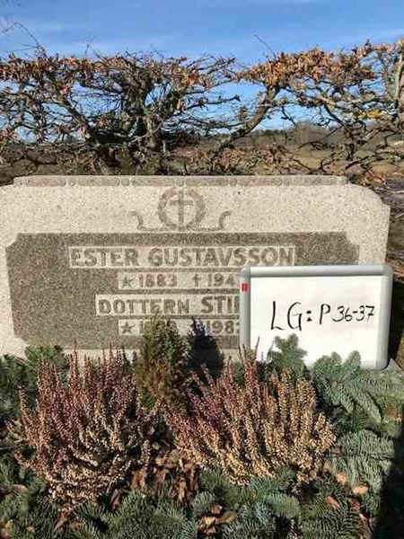 Grave number: LG P    36, 37