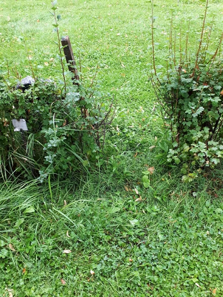 Hautatunnus: GK A 4   202H