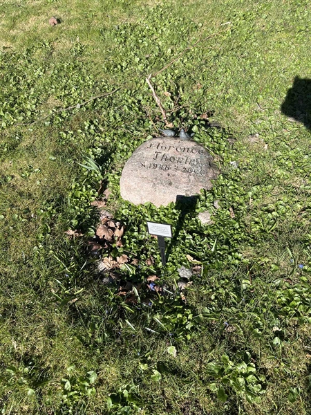 Gravnummer: 3 2    30