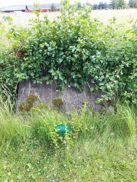 Gravnummer: GK F 5   494