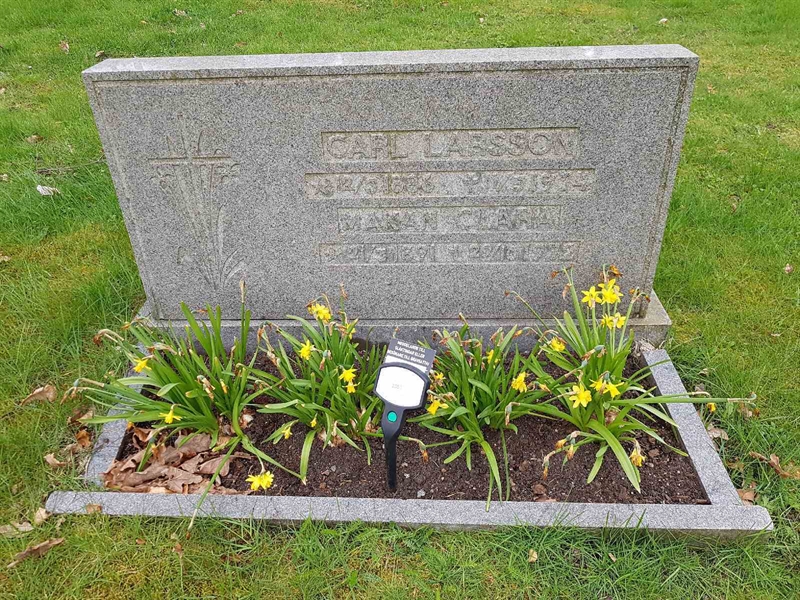 Grave number: 01  3351