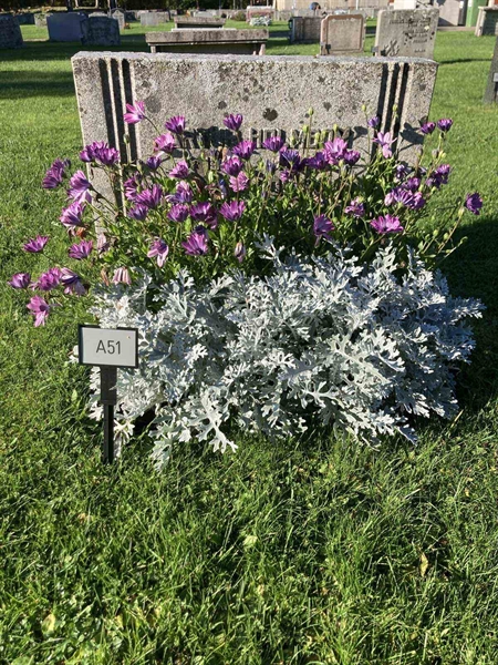 Grave number: 1 NA    51