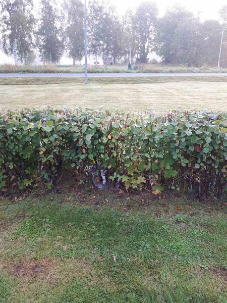 Gravnummer: NK F B   210B