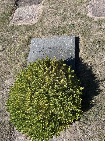 Grave number: NK I:u   420