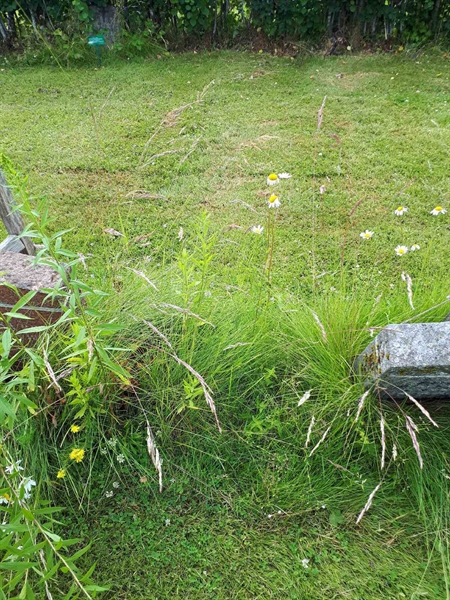 Grave number: GK A 5   187V