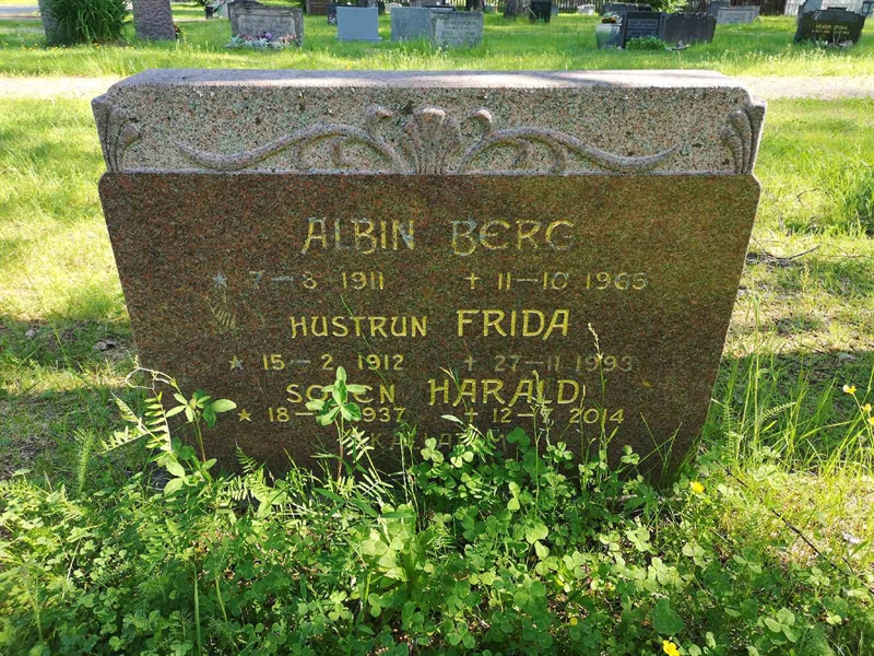 Hautatunnus: NK 02    62