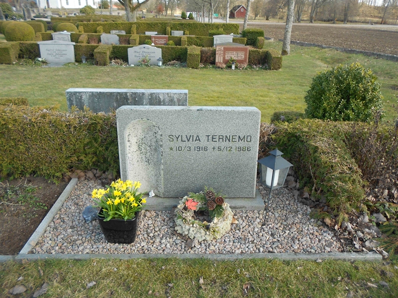 Grave number: V 38   229