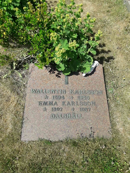 Grave number: TÖ 4   268