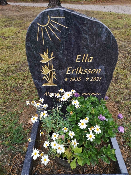 Hautatunnus: VLM 12    84