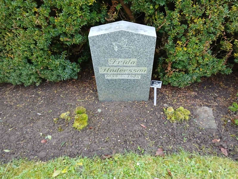 Grave number: FE K   130