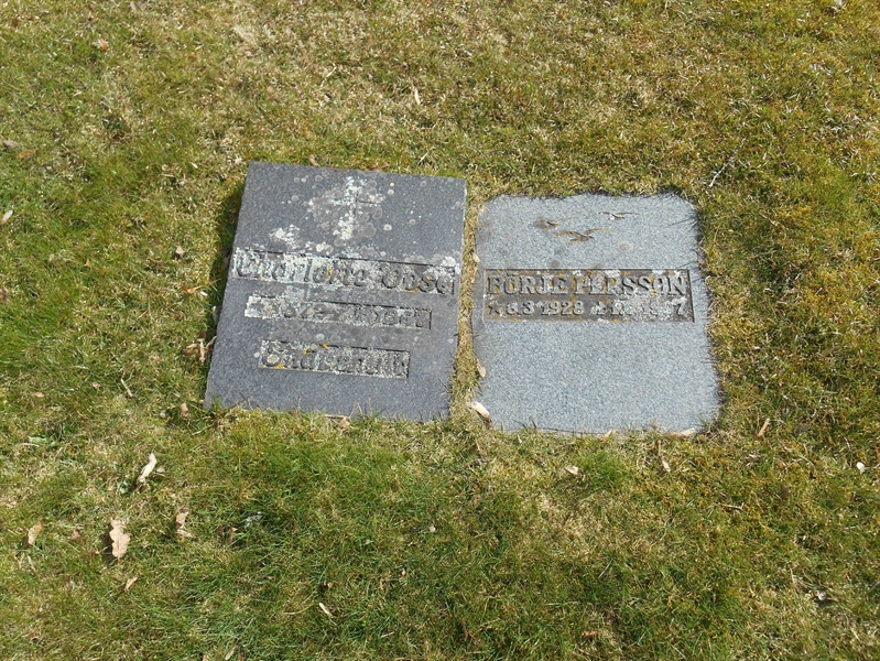 Grave number: Vitt N07   429