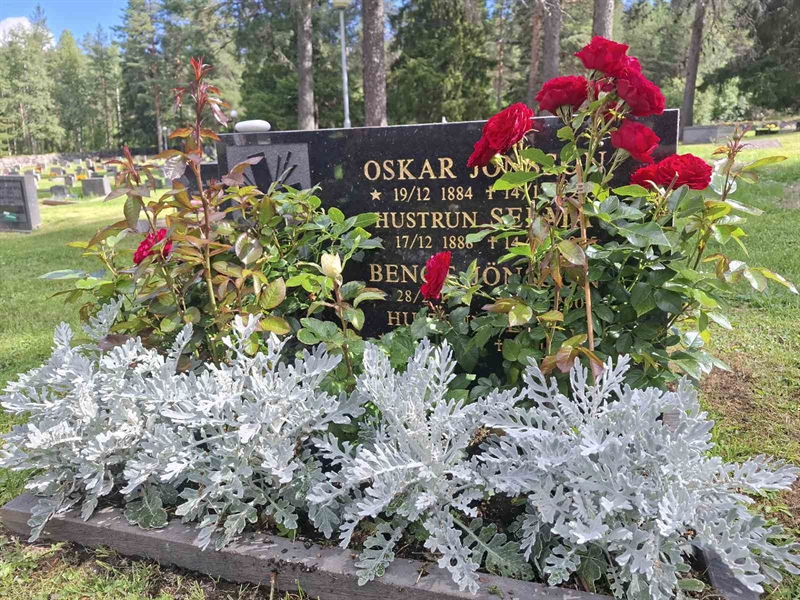 Grave number: 001 2   513