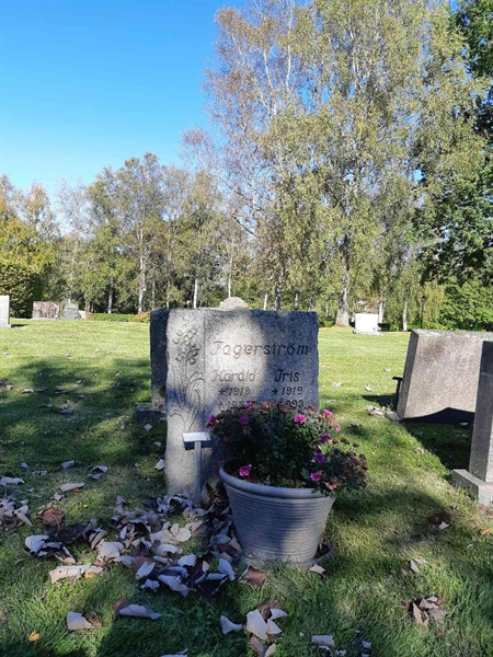 Hautatunnus: Fr 7   717