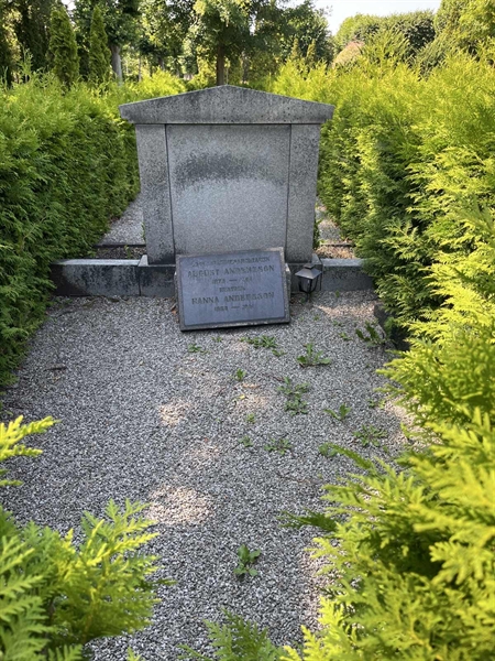 Grave number: NK VII    82