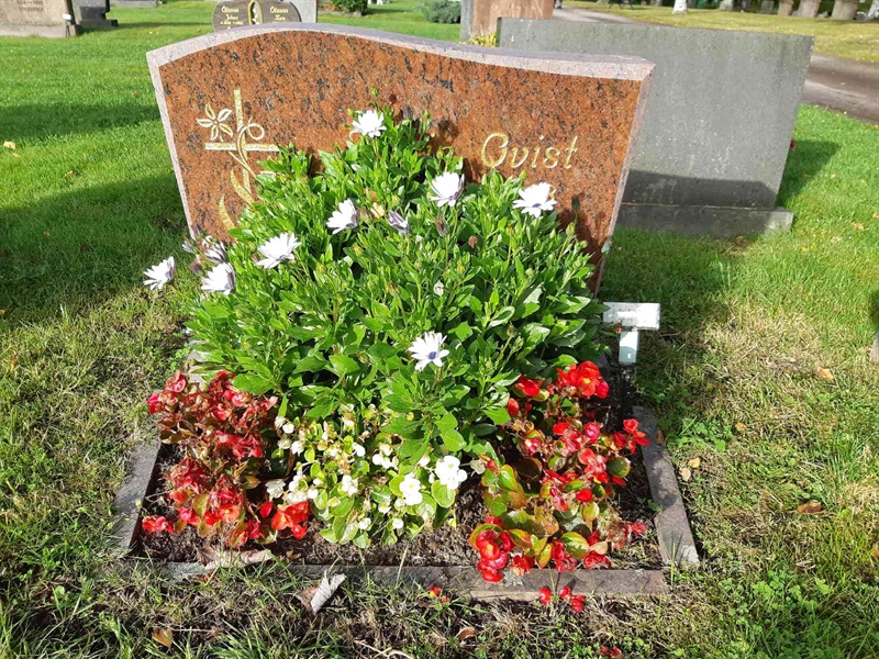 Hautatunnus: Fr 8   520