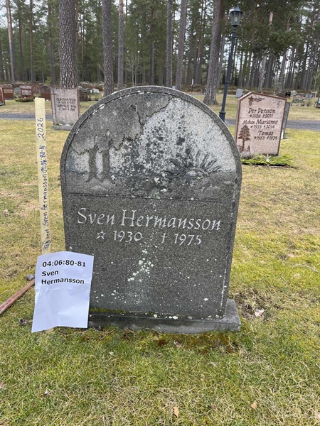 Hautatunnus: 04 06    80-81